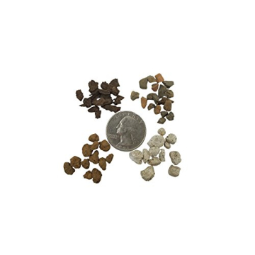 Succulent & Cactus Soil Mix - Fast Draining Blend