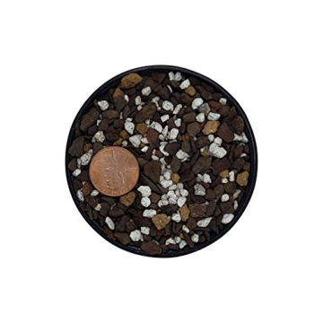 Succulent & Cactus Soil Mix - Fast Draining Blend