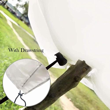 Agfabric Plant Covers - Durable Frost Protection for Your Plants