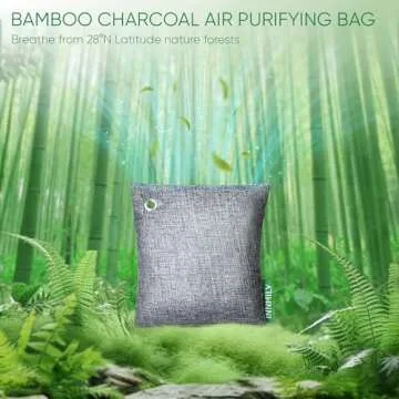 Activated Charcoal Odor Absorber,Large 4x500g w Hooks Nature Odor Eliminator for Strong Odor,Bamboo ...