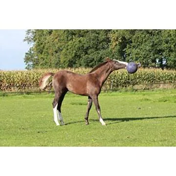 Horsemen's Pride 10" Jolly Ball Horse Toy, Blue, XLARGE, All Breed Sizes