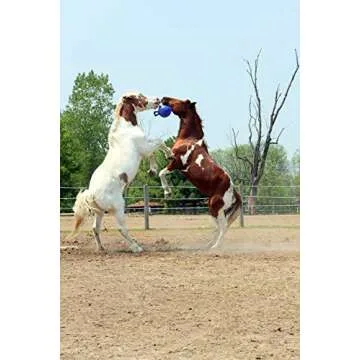 Horsemen's Pride 10" Jolly Ball Horse Toy, Blue, XLARGE, All Breed Sizes