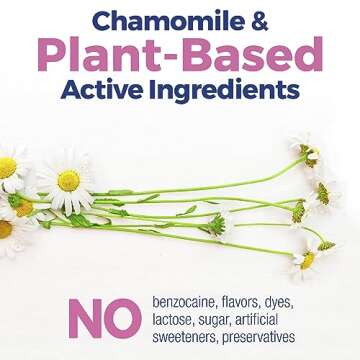 Boiron Camilia Teething Drops for Daytime and Nighttime Relief of Painful or Swollen Gums and Irritability in Babies - 15 Count