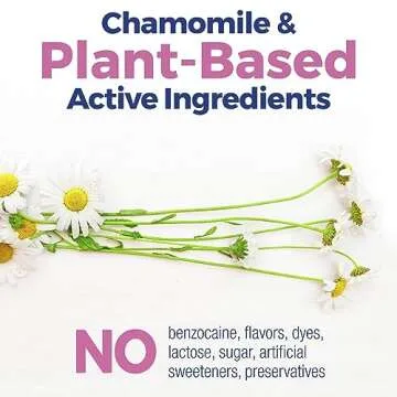 Boiron Camilia Teething Drops for Daytime and Nighttime Relief of Painful or Swollen Gums and Irritability in Babies - 15 Count