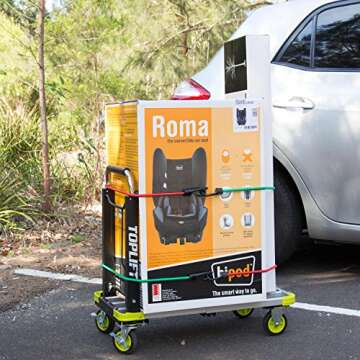 Bungee Cord Assortment - Premium 16 Piece Set with Plastic Coated Metal Hooks