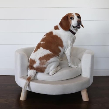 Elegant Dog Couch for Small to Medium Pets