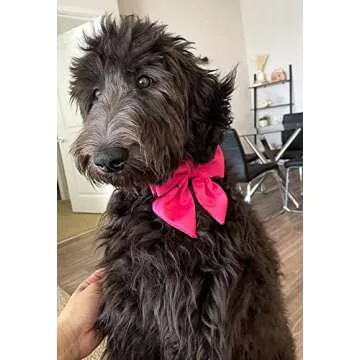 Maca Bates Adjustable Dog Collar with Sailor Bow