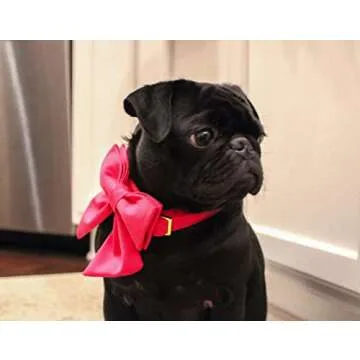 Maca Bates Adjustable Dog Collar with Sailor Bow