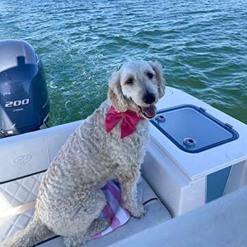 Maca Bates Dog Collar with Rose Red Bow Bowtie for Dogs Solid Colors Sailor Bow Tie Adjustable Breakaway Girly Pink Collars Birthday Gift for Small Medium Large XL Girl Female Boy Male Puppy Pet