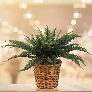 34" UV Resistant Artificial Boston Fern Plant for Home Decor