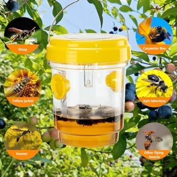 Solar Wasp Traps - Safe, Effective Insect Control
