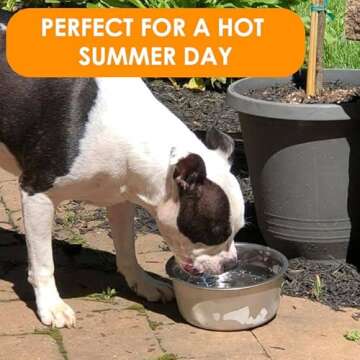 Neater Pets Polar Bowl - Freezer Bowl for Ice Cold Water for Dogs & Cats - Perfect for Hot Summer Days, (3.5 Cups)