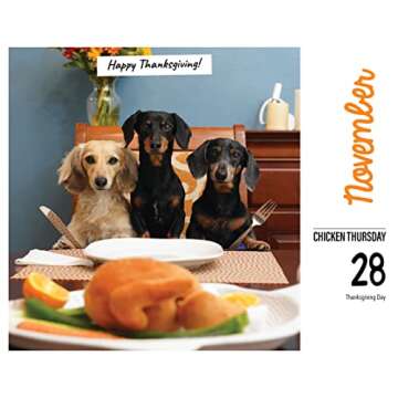 Crusoe the Celebrity Dachshund Daily 2024 Desk Calendar