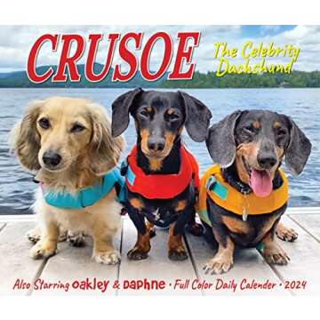 Crusoe the Celebrity Dachshund Daily 2024 Desk Calendar