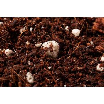 Noot Rooting Rescue Mix - Revive Your Indoor Plants