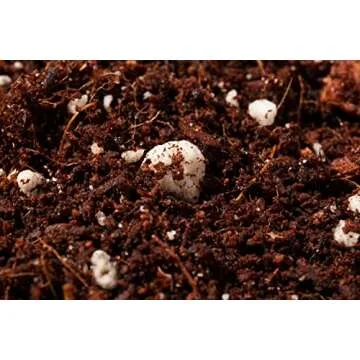 Noot Rooting Rescue Mix - Revive Your Indoor Plants