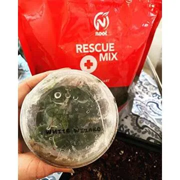 Noot Rooting Rescue Mix - Revive Your Indoor Plants