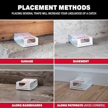 Catchmaster Spider & Insect Glue Traps 30-Pk (10 Sheets), Adhesive Cockroach Killer Glue Boards, Spider Traps, Cricket Sticky Traps, Indoor Roach Trap for Home, Garage & Shed, Pet Safe Pest Control