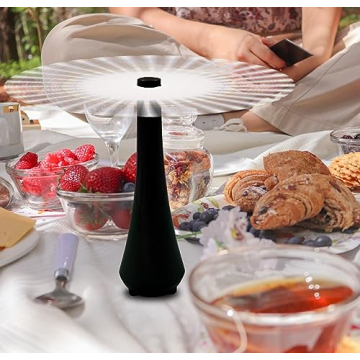Patiosir Fly Swatter Fan for Outdoor Dining and Events