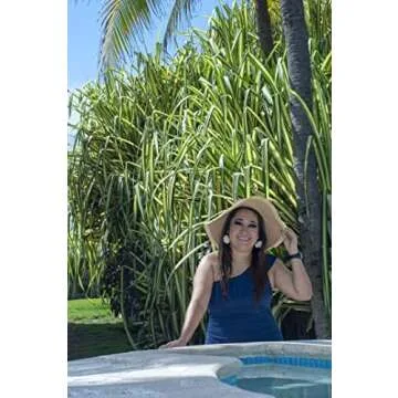 Hilor Women's One Shoulder Swimsuit - Stylish Bathing Suit