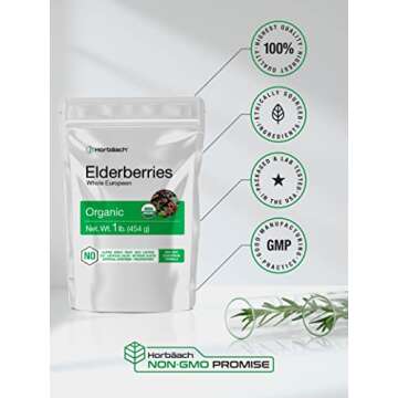 Horbäach Elderberries Dried Organic | 1 lb Bulk Bag | Whole European | Non-GMO, Gluten Free | Sambucus Nigra