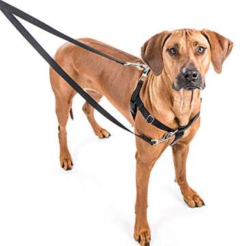 2 Hounds Design Freedom No-Pull Dog Harness, Adjustable Comfortable Control for Dog Walking, Made in USA (Leash Sold Separately) (Small 5/8") (Jelly Bean)