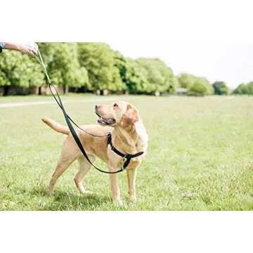 2 Hounds Design Freedom No-Pull Dog Harness, Adjustable Comfortable Control for Dog Walking, Made in USA (Leash Sold Separately) (Small 5/8") (Jelly Bean)