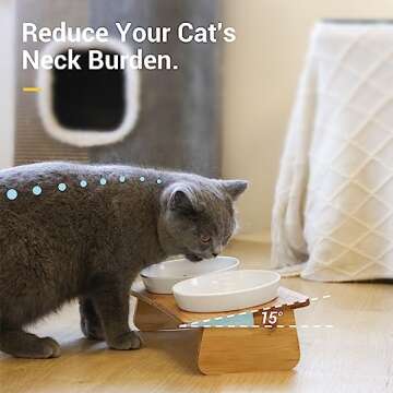 MSBC Raised Cat Bowl with Bamboo Stand, Elevated Pet Feeder with 2 Melamine Bowls, Tilted Food and W...