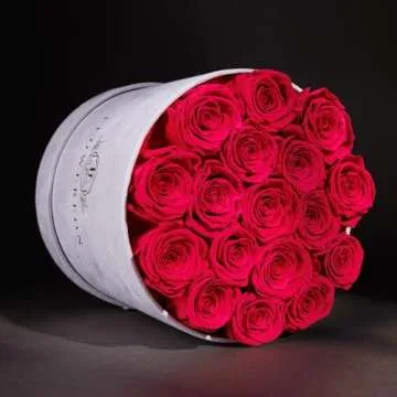 Forever Real Roses in Suede Box | 17-Piece Hot Pink Roses - Last Over a Year - Perfect Gifts for All...