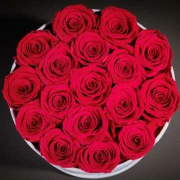 Forever Real Preserved Roses in Suede Box - Lasting Beauty