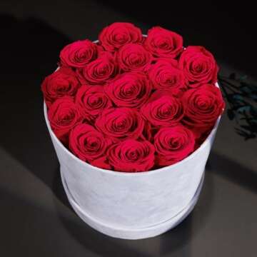 Forever Real Preserved Roses in Suede Box - Lasting Beauty