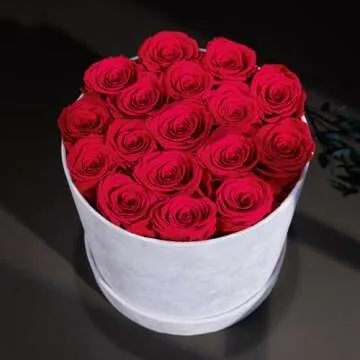 Forever Real Preserved Roses in Suede Box - Lasting Beauty