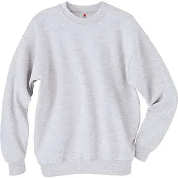 Hanes mens Ecosmart Sweatshirt, Ash, X-Large US