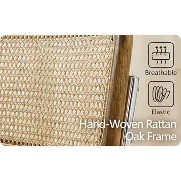 Modern Zouron Dining Chairs Set of 2 with Rattan Back