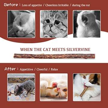 Silvervine Sticks for Cats - 30PCS Natural Chew Toys