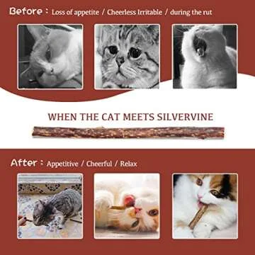 Silvervine Sticks for Cats - 30PCS Natural Chew Toys