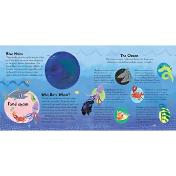 A Hole in the Bottom of the Sea - Musical Kids Book