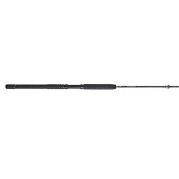 PENN Carnage III Fishing Rod - Heavy Duty for Big Game