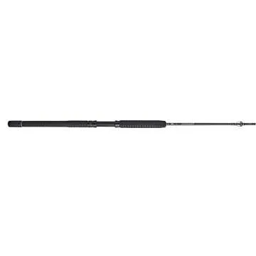 PENN Carnage III Fishing Rod - Heavy Duty for Big Game