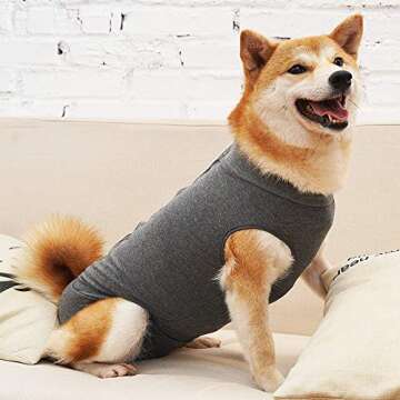 Dog Recovery Suit for Abdominal Wound after Surgery