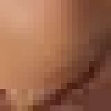 SheIn Women's Criss Cross Tie Backless Tee Top Long Sleeve Round Neck Crop T Shirt Coffee Brown Large