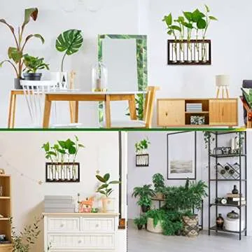 XXXFLOWER Wall Hanging Terrarium Planter with 5 Test Tubes