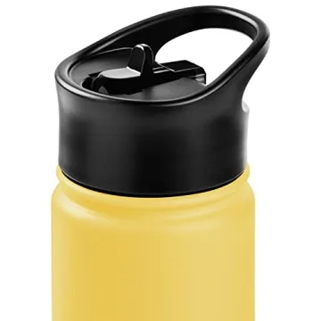 Retrospec Alder Insulated Water Bottle - Stainless Steel Thermos