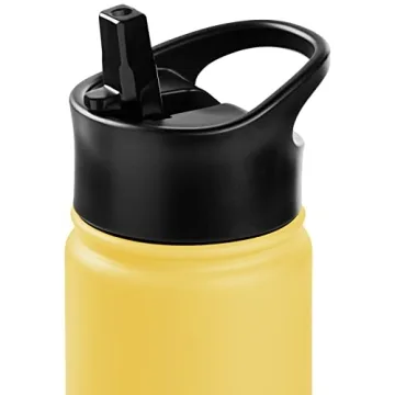 Retrospec Alder Insulated Water Bottle - Stainless Steel Thermos