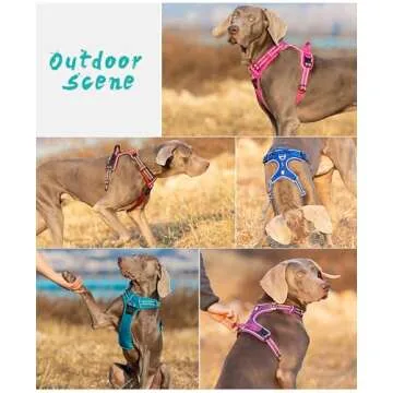 TRUE LOVE Dog Harness No Pull Nylon Reflective Pet Harness Adjustable Comfortable Control Step-in Brilliant Colors Truelove TLH56512 Gray