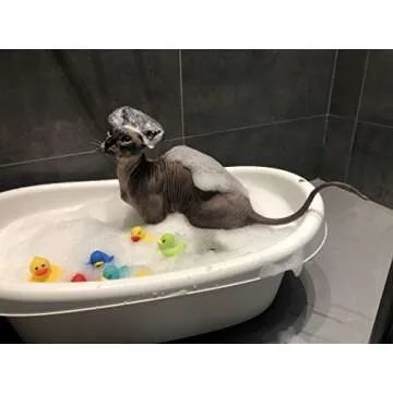 Kotomoda Probiotic Shampoo for Sphynx Cats 4.22