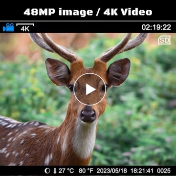 RIGDOO 4K Trail Camera with Night Vision for Wildlife