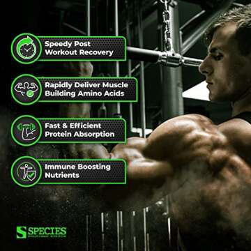 Top Whey Protein Isolate with 27.5g Protein per Scoop