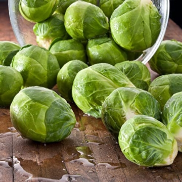 Heirloom Brussels Sprouts Seeds - High Germination & Non-GMO