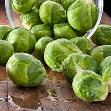 Heirloom Brussels Sprouts Seeds - High Germination & Non-GMO